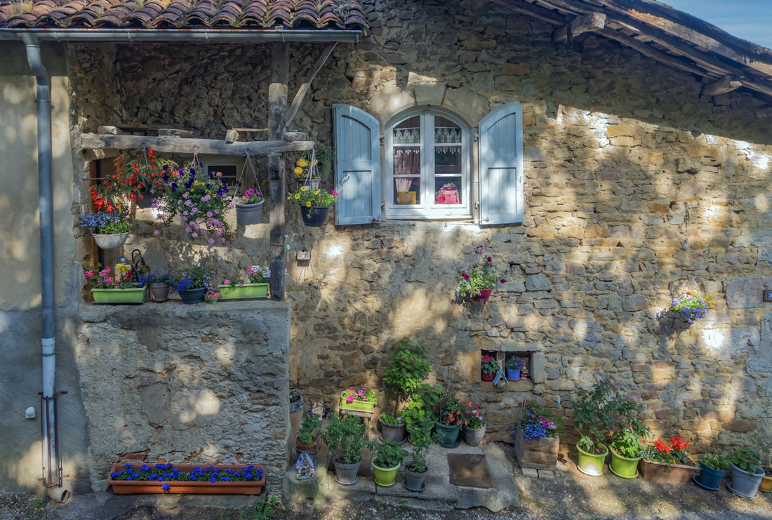 Dappled sunlight illuminates a stone house with many potted flowers